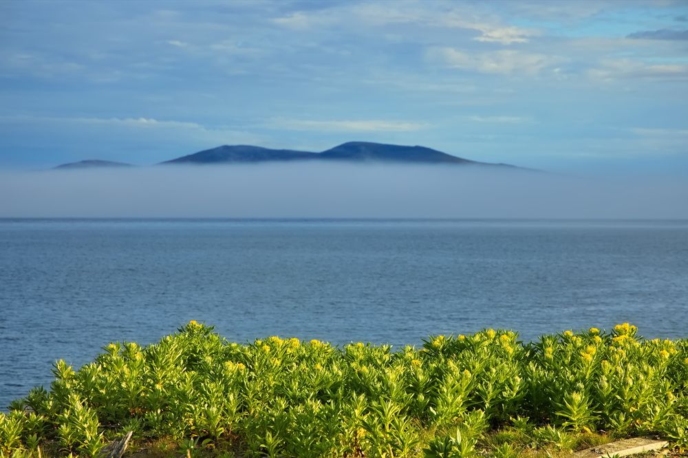 Photograph by Олег Раков