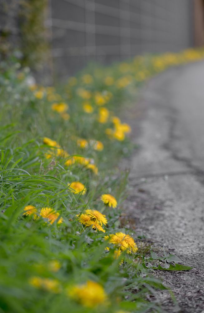 Фотография автора Uljana Kuchar