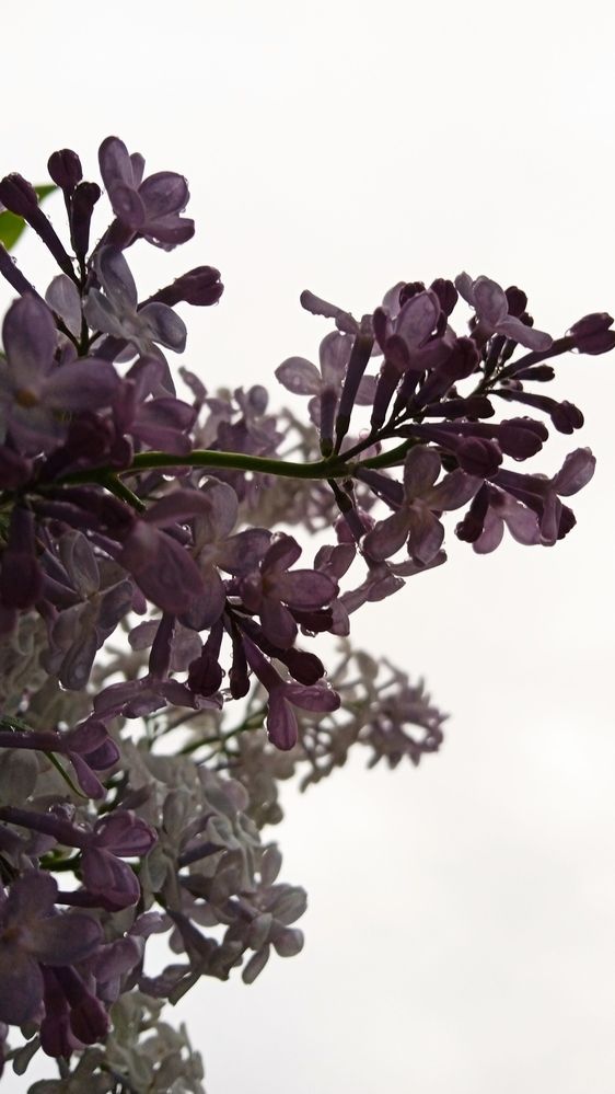 Photograph by Нина Словина
