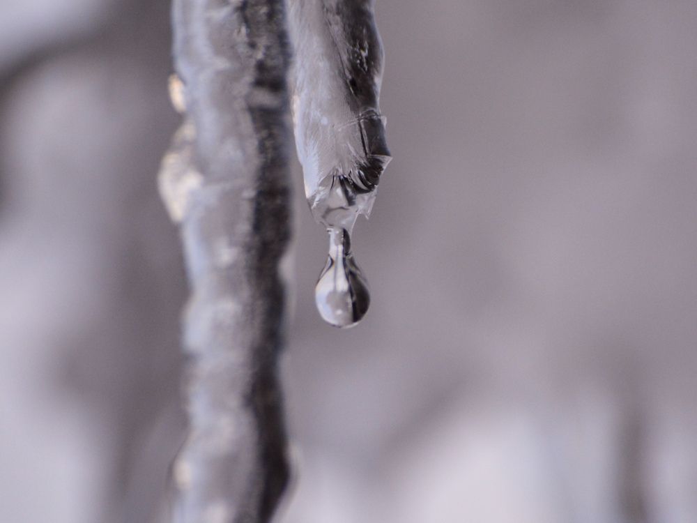 Photograph by Анастасия Гурова