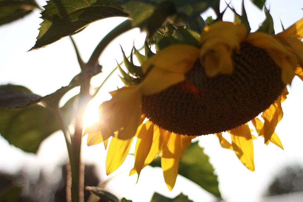 Photograph by Алёна Анфимова