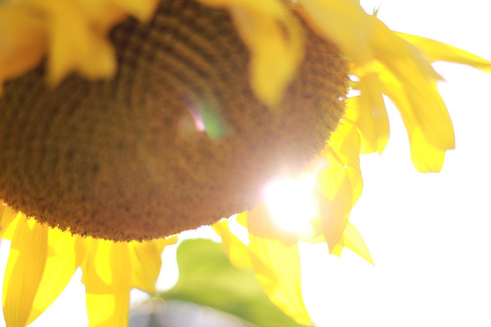 Photograph by Алёна Анфимова