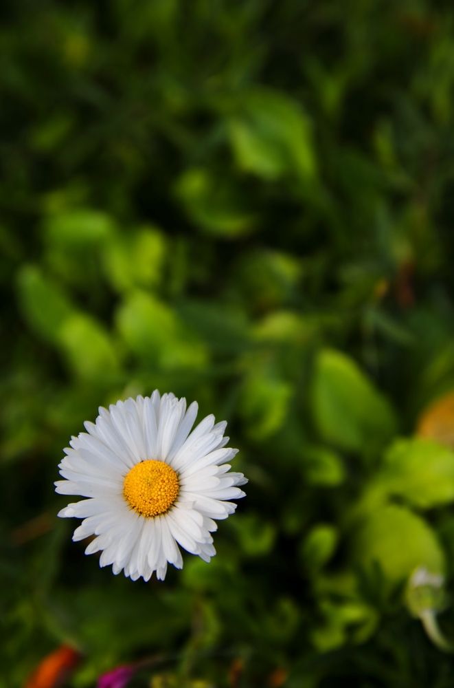 Photograph by Андрей Хомутов