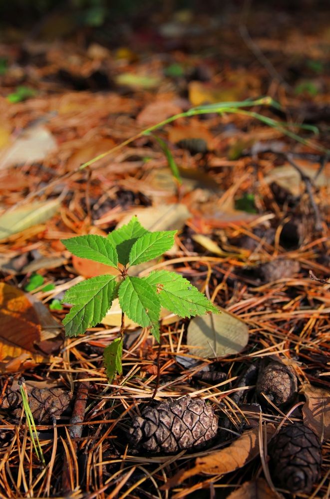 Photograph by Андрей Хомутов