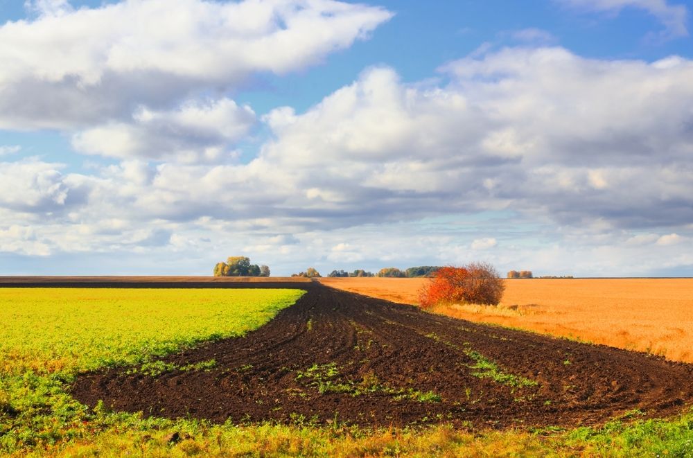 Photograph by Андрей Хомутов