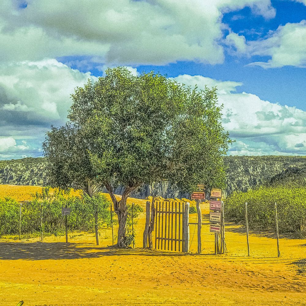 Фотография автора Walfrido Alexandre