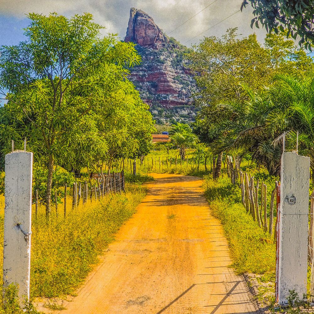 Фотография автора Walfrido Alexandre