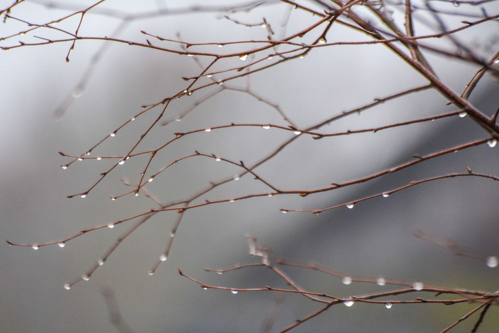 Photograph by Анастасия Гурова