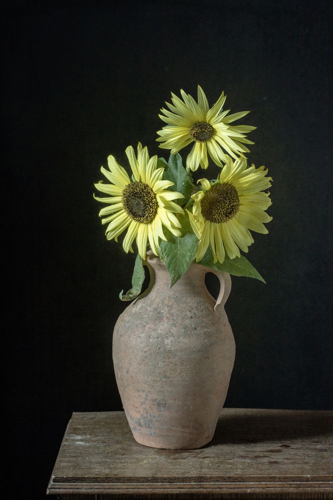 Фотография автора Uljana Kuchar