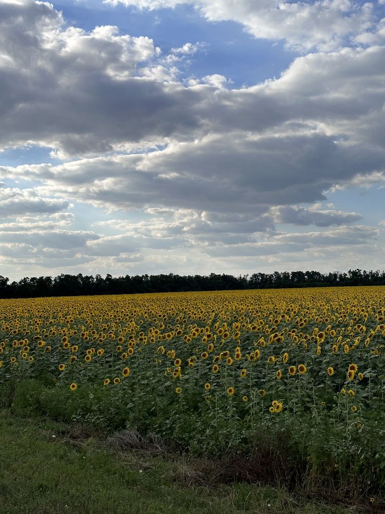 Photograph by Юлия