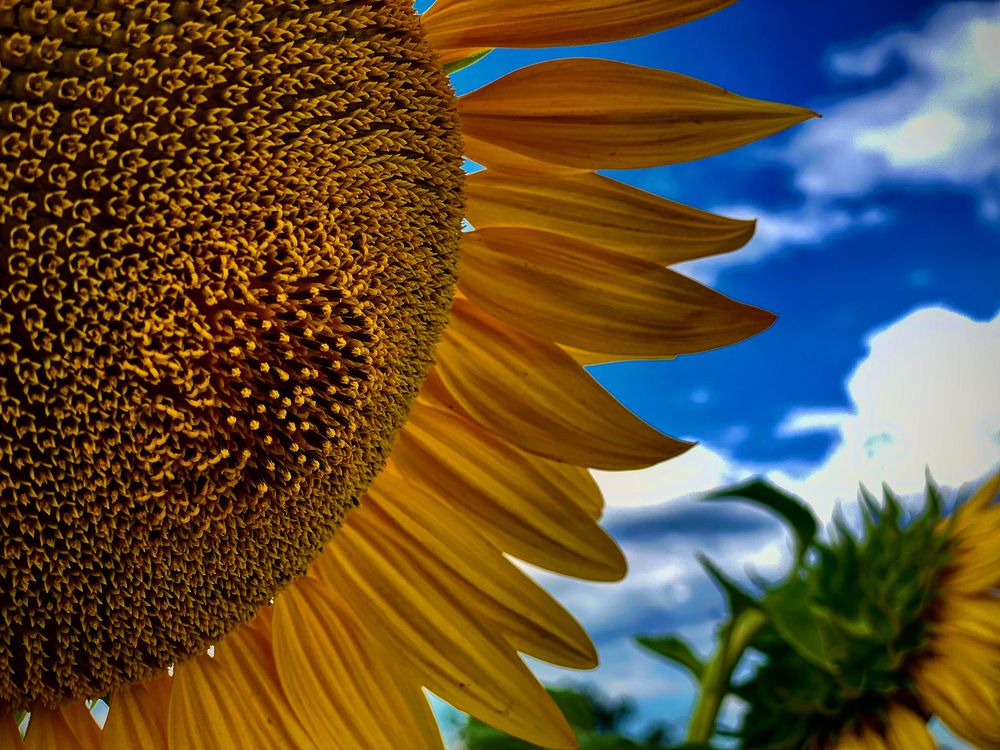 Photograph by Marchenkov Sergey