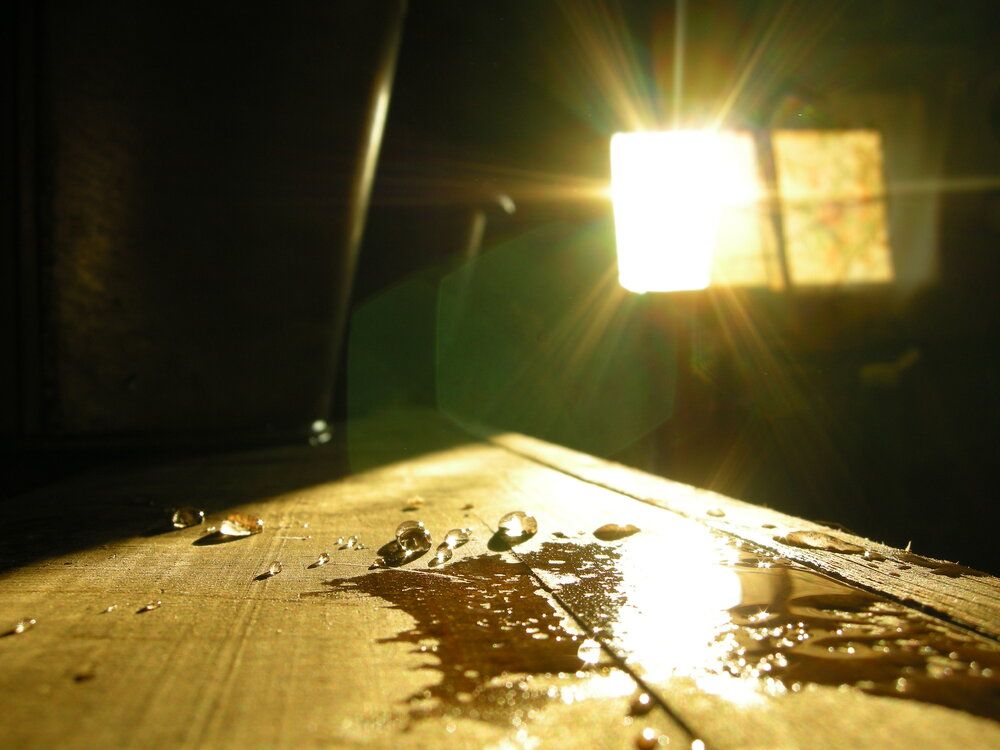 Photograph by Алексей Бузанов