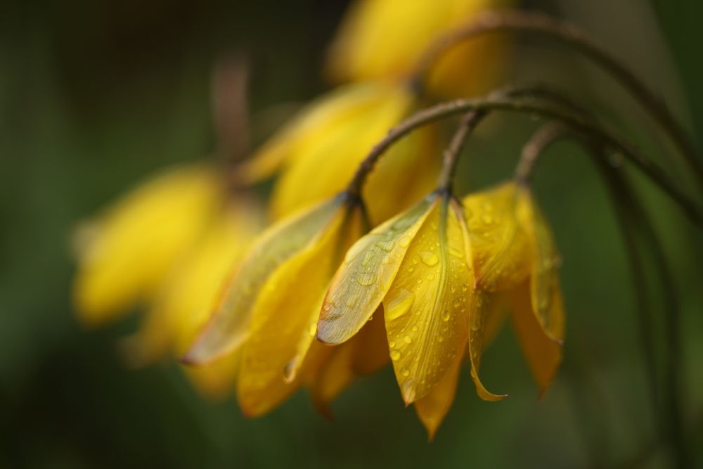 Фотография автора Natalia Kuzmina