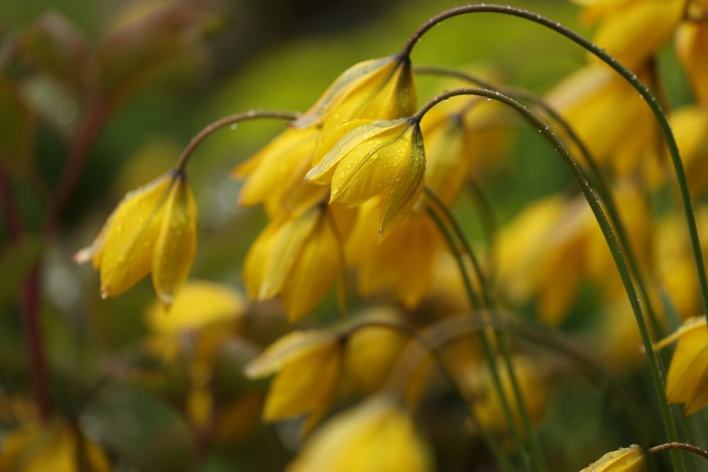 Фотография автора Natalia Kuzmina