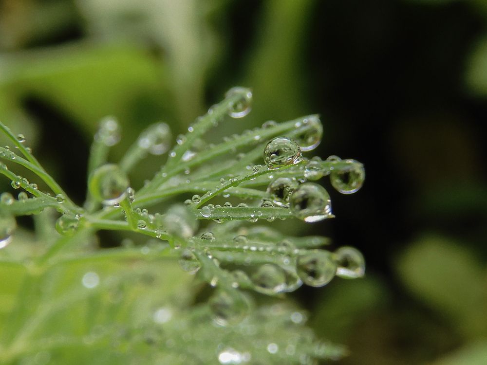 Photograph by Игорь Смирнов