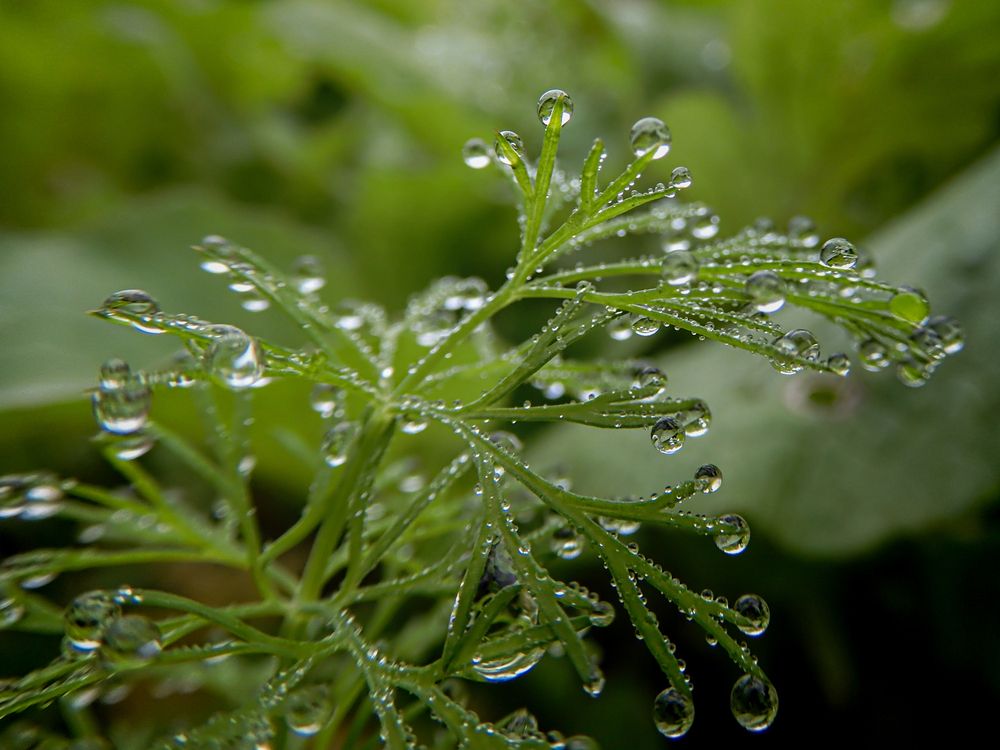 Photograph by Игорь Смирнов