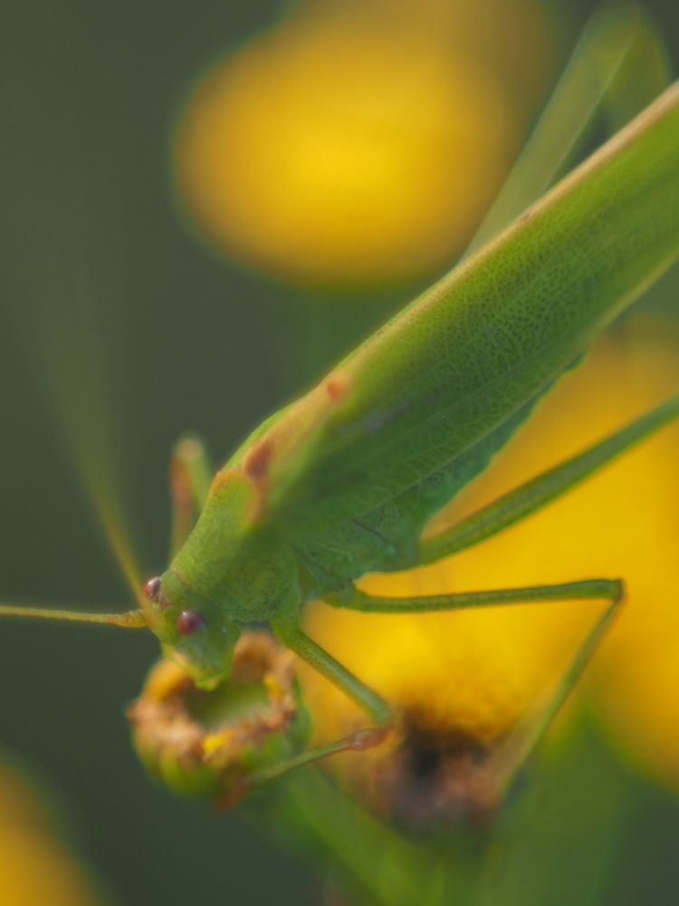 Photograph by Наталья