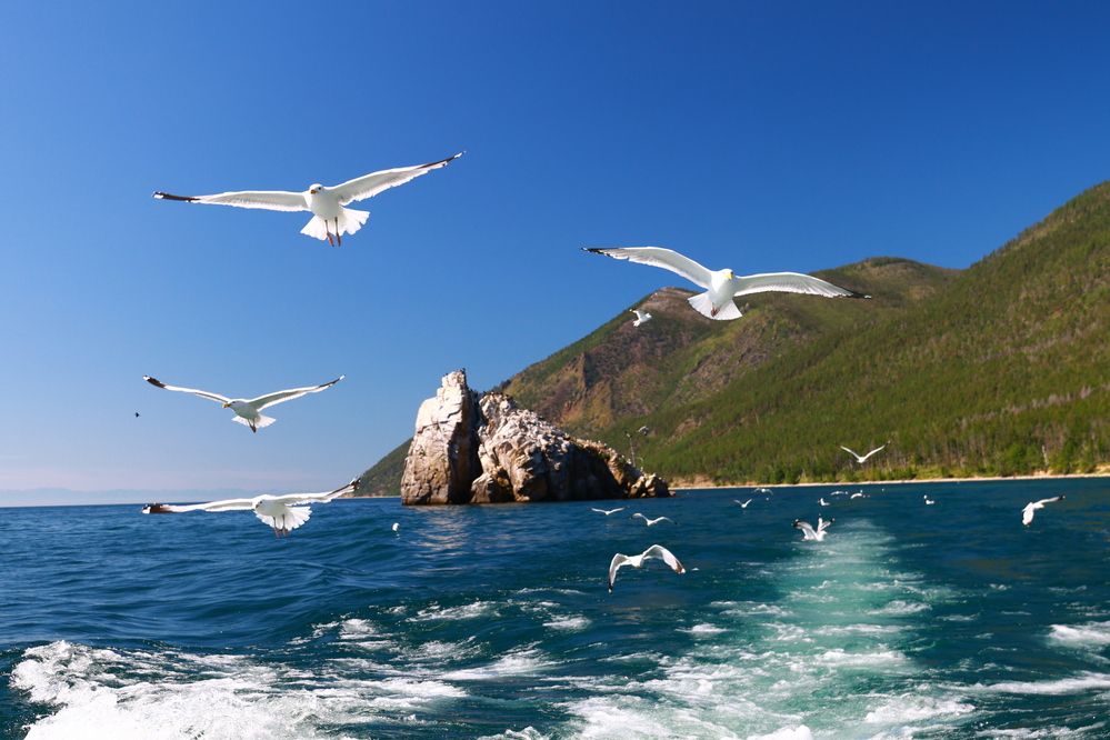Красоты Байкала