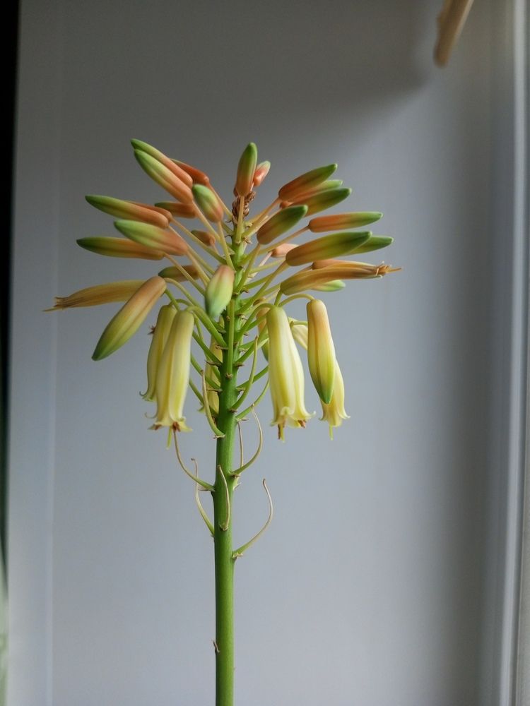 Photograph by Худобина Галина