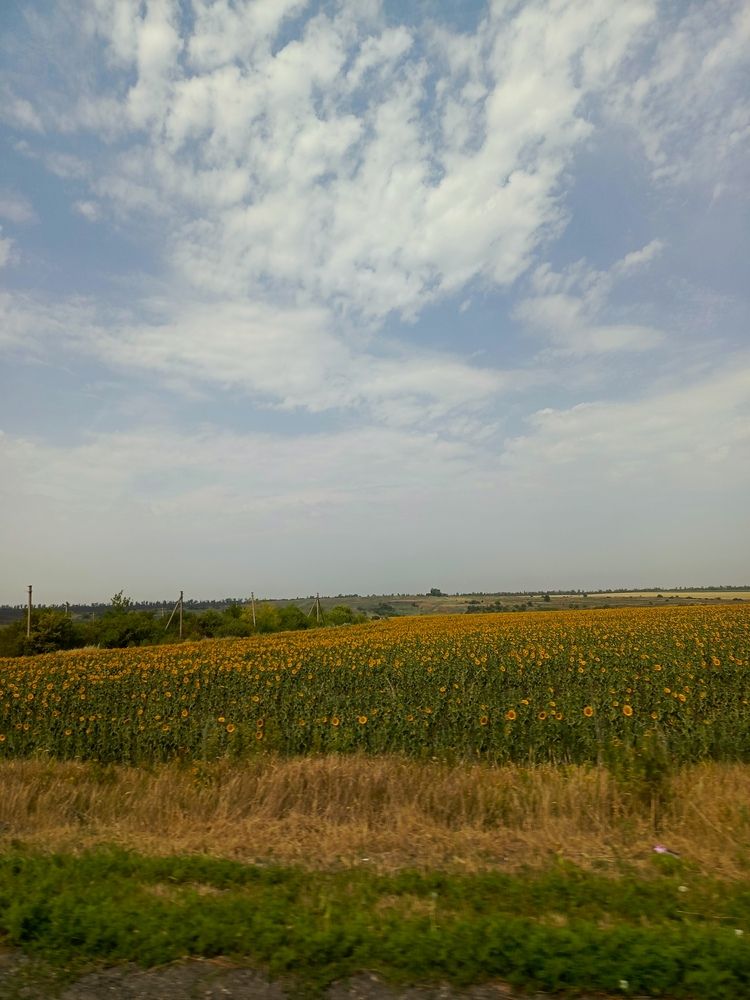 Photograph by Татьяна Пальчикова