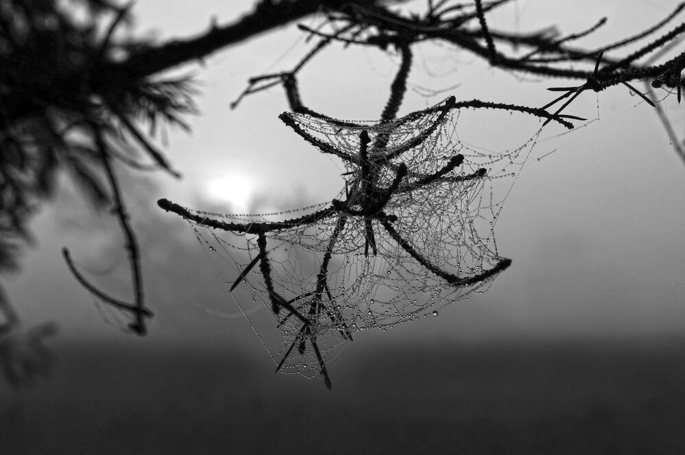 Photograph by Мишустина Татьяна