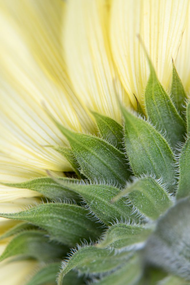 Фотография автора Uljana Kuchar