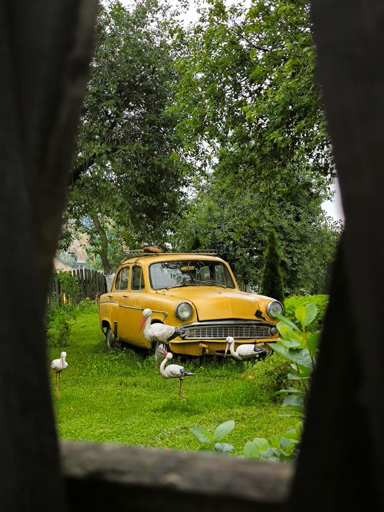 Photograph by Татьяна Яцкевич