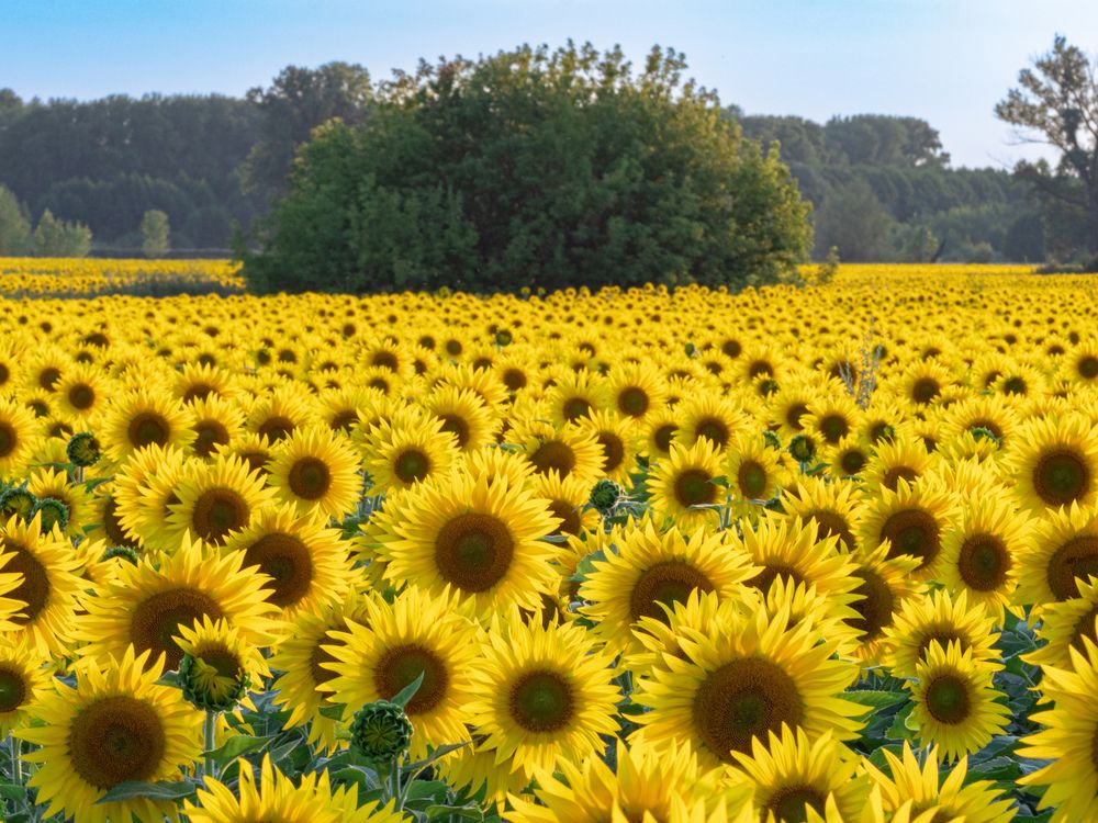 Photograph by Львов Алексей