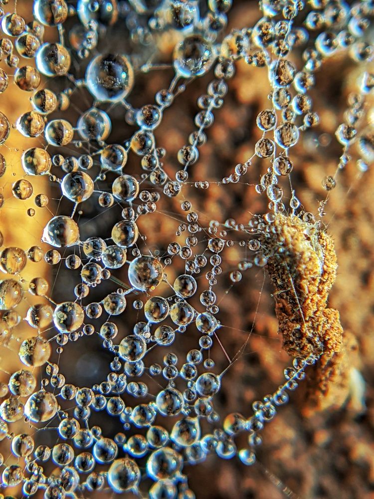 Photograph by Sai Krishna