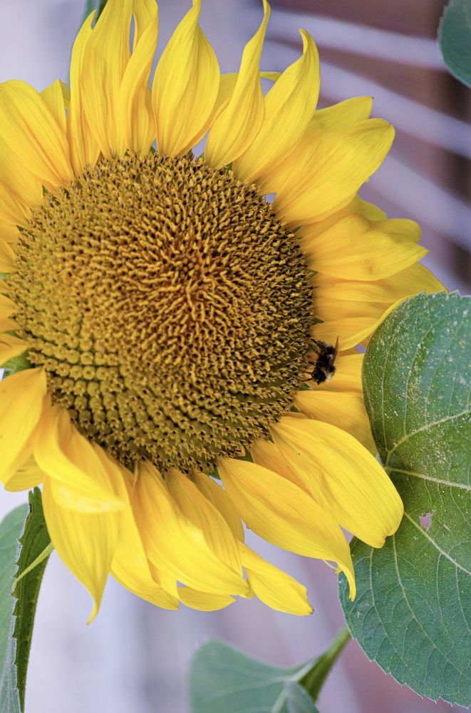 Photograph by Анна Потапова