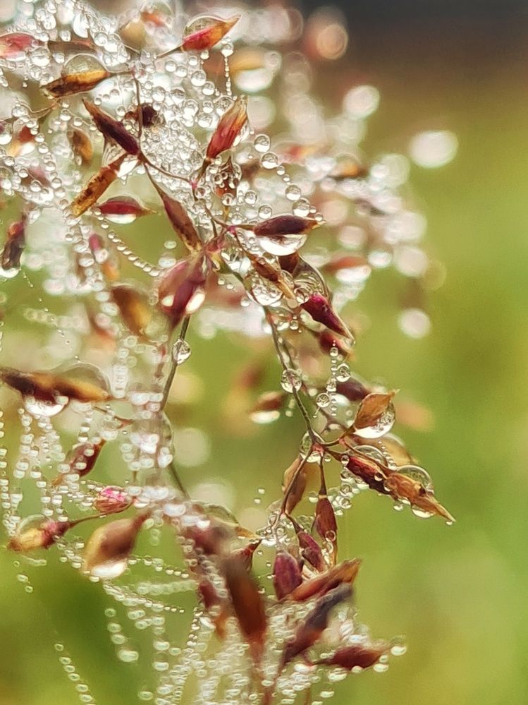 Photograph by Инна Мухина