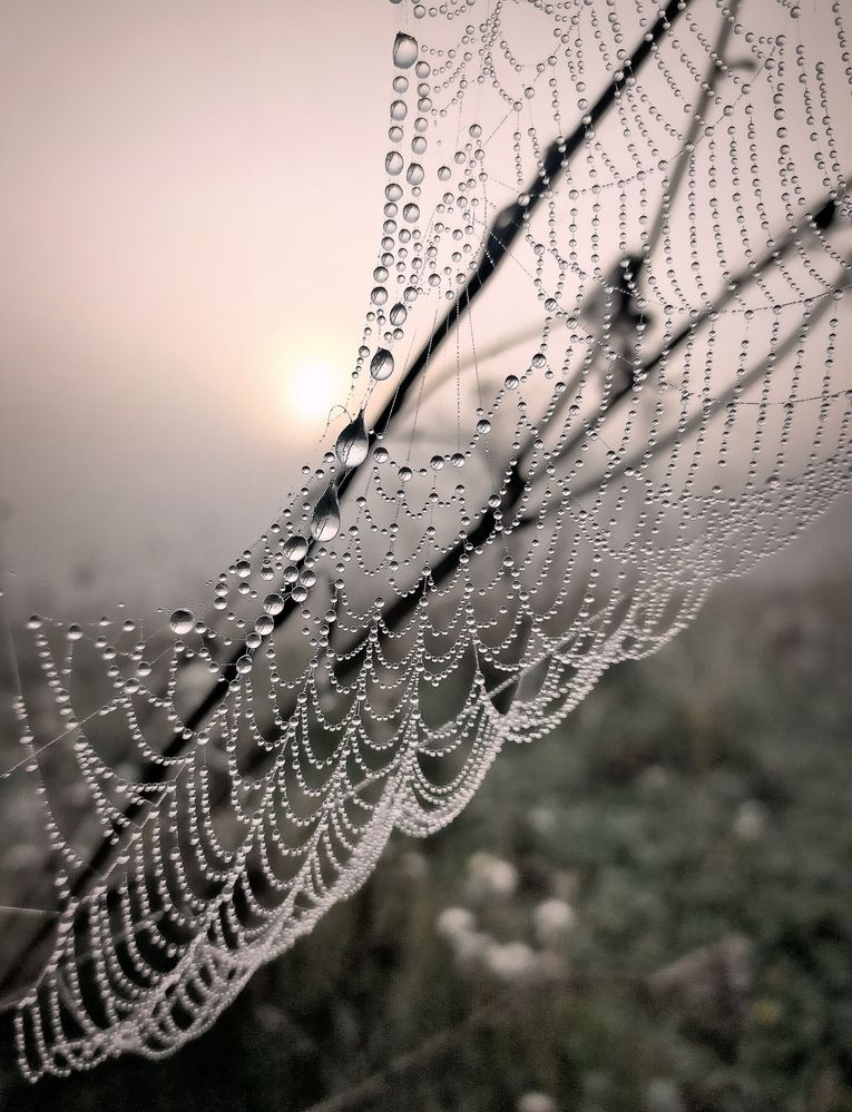 Photograph by Ольга Мартьянова