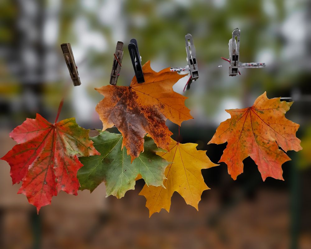 Подготовка к зиме