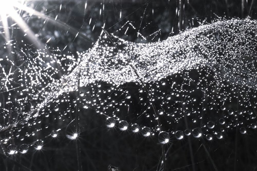 Photograph by Сергей Пушкин