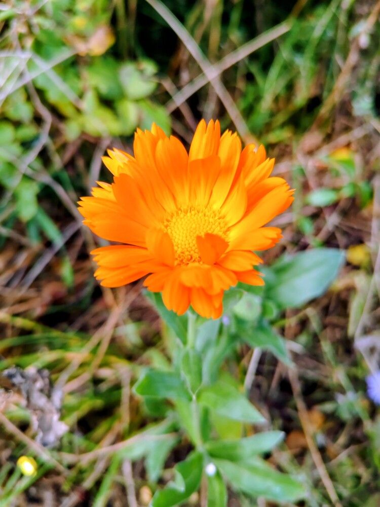 Photograph by Ольга Рыбина