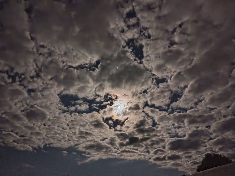 Photograph by Галина Худобина