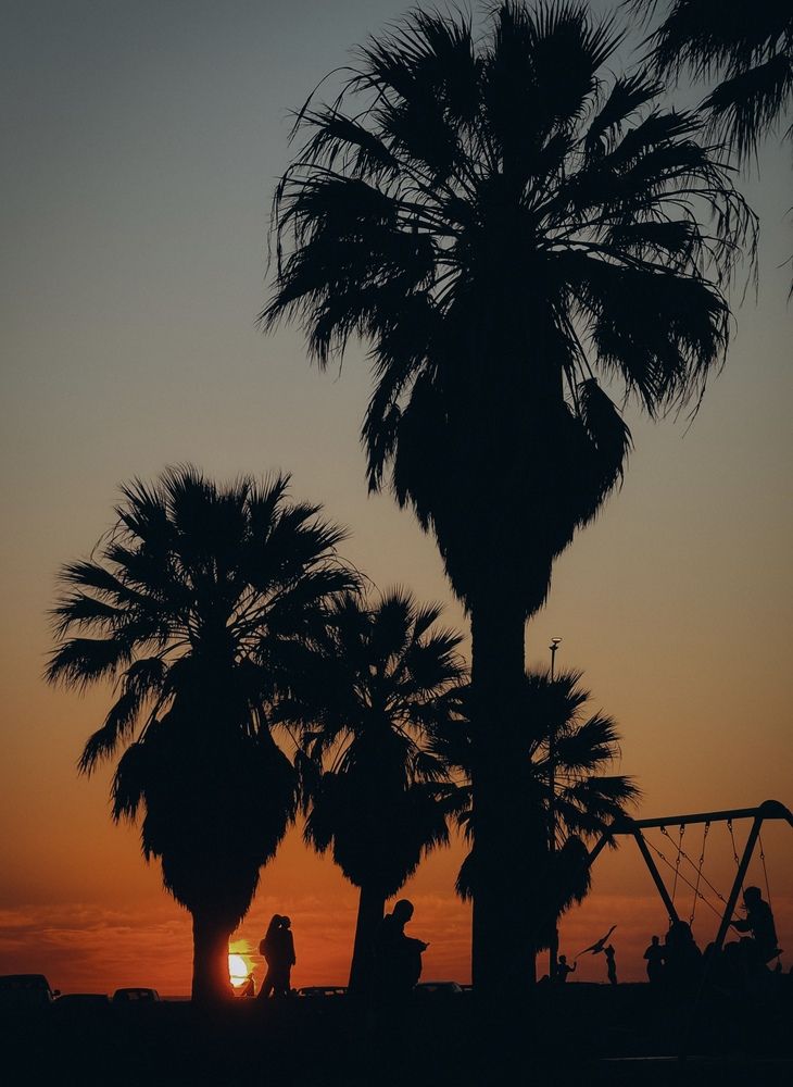 Photograph by Marina Dominova