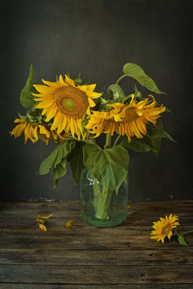 Photograph by Екатерина Дьячкова