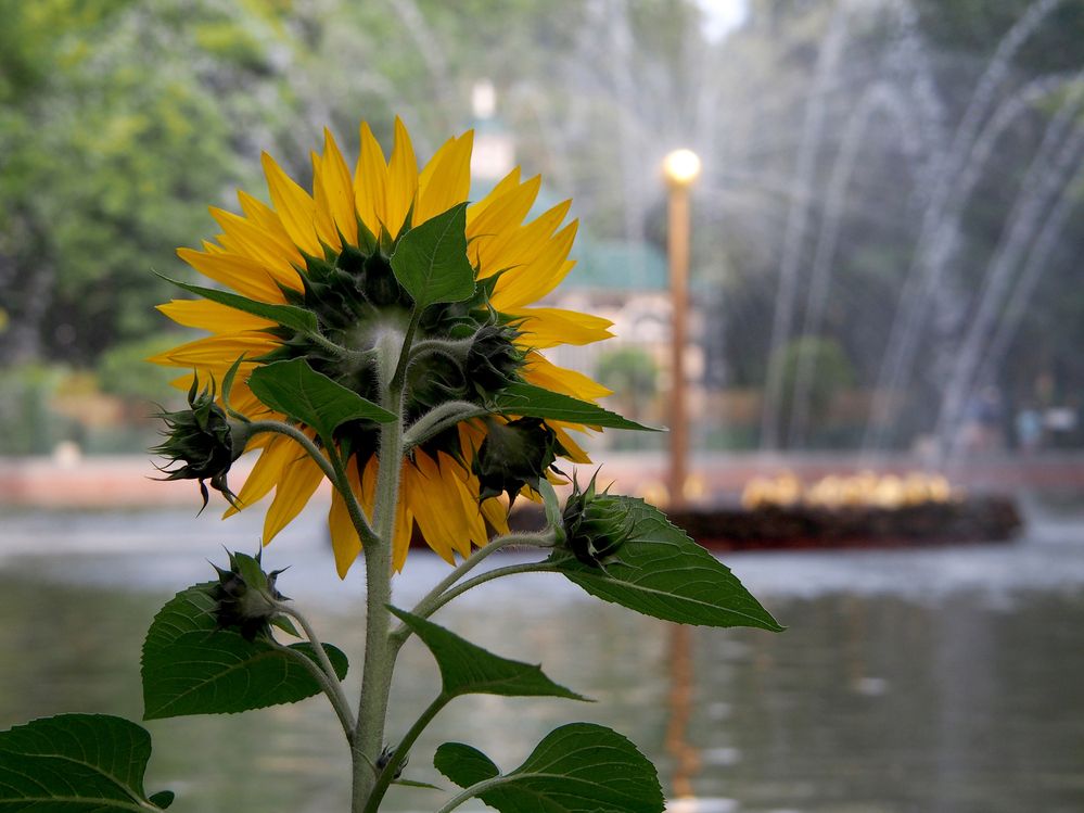 Photograph by Марианна Браун