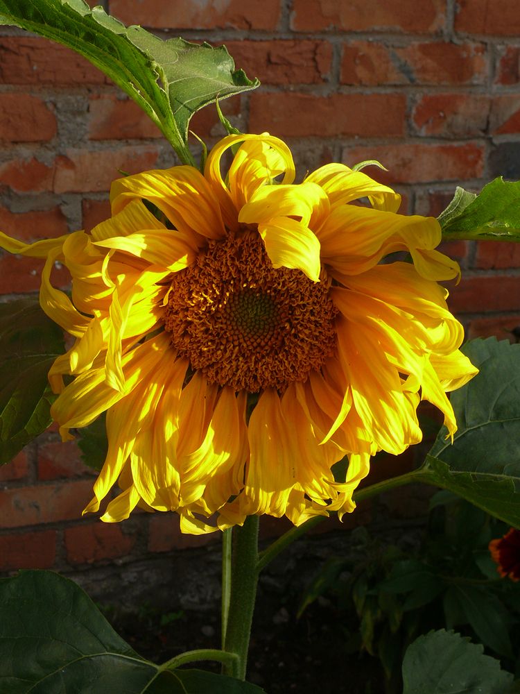 Фотография автора Борис Журавлёв