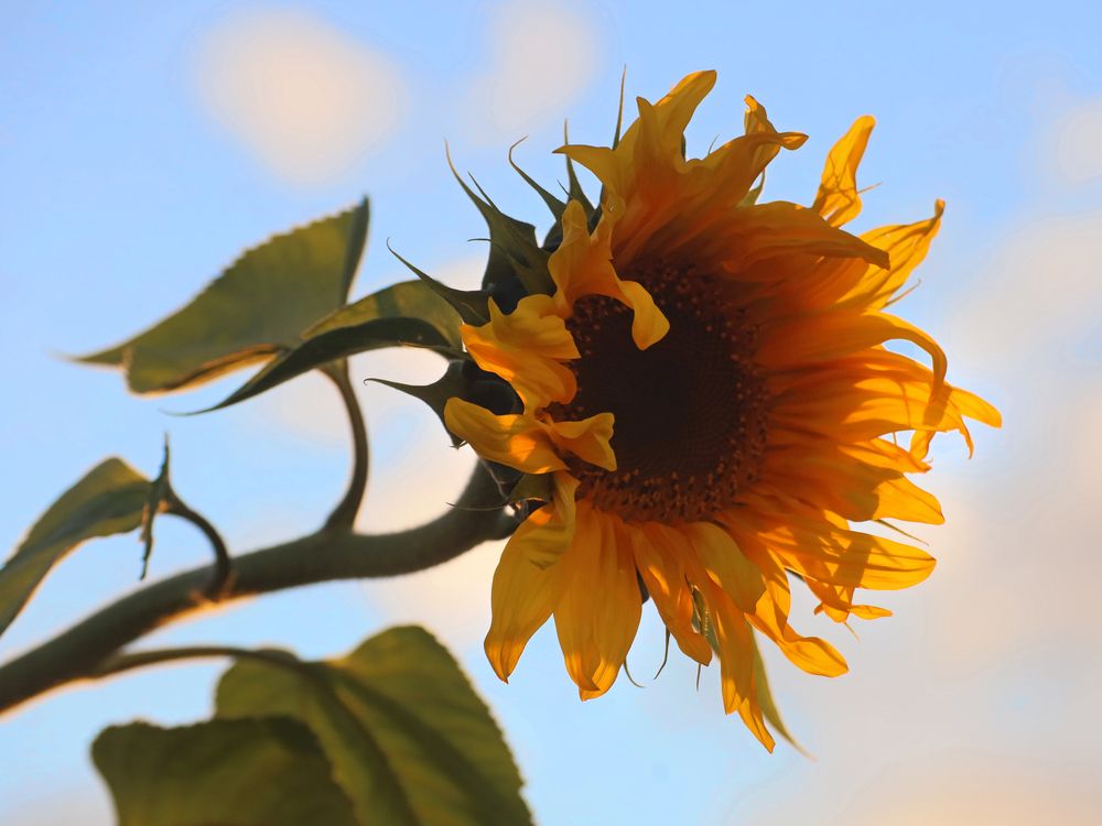 Photograph by Марианна Браун