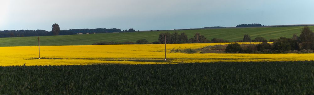 Фотография автора Вадим Лабитов