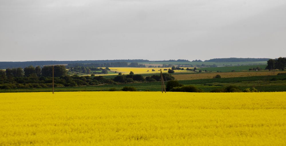 Фотография автора Вадим Лабитов