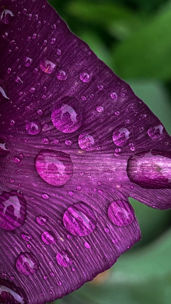 Photograph by Оксана Михайлова