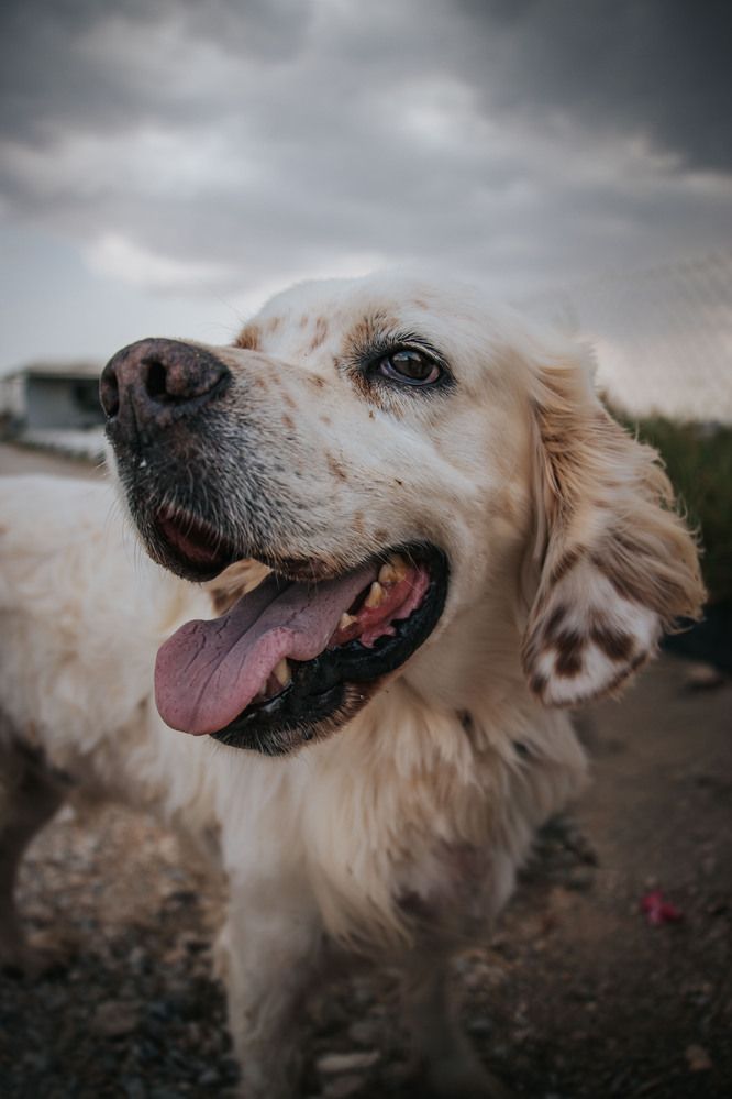 Photograph by Olya Donskaya