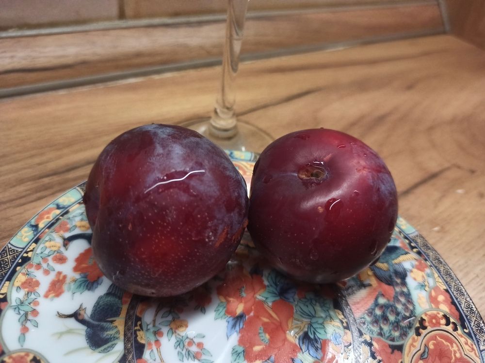 Photograph by Валерия Сопова