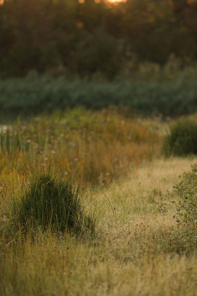 Photograph by Татьяна Бесчастнова