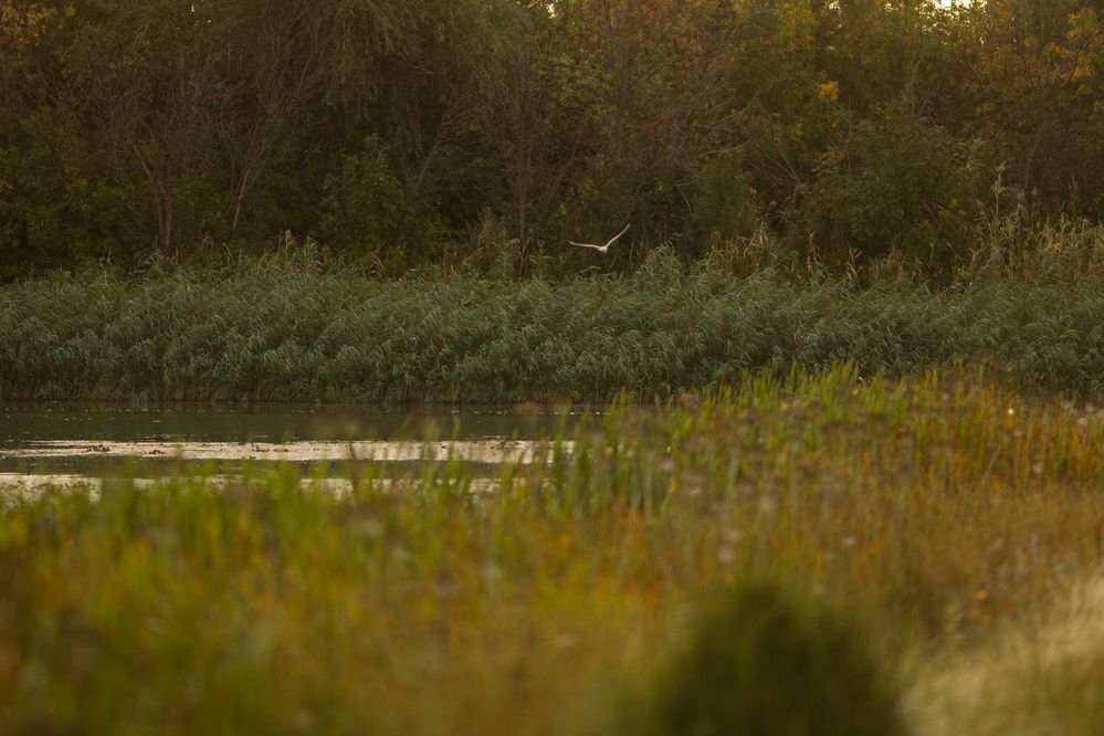 Photograph by Татьяна Бесчастнова