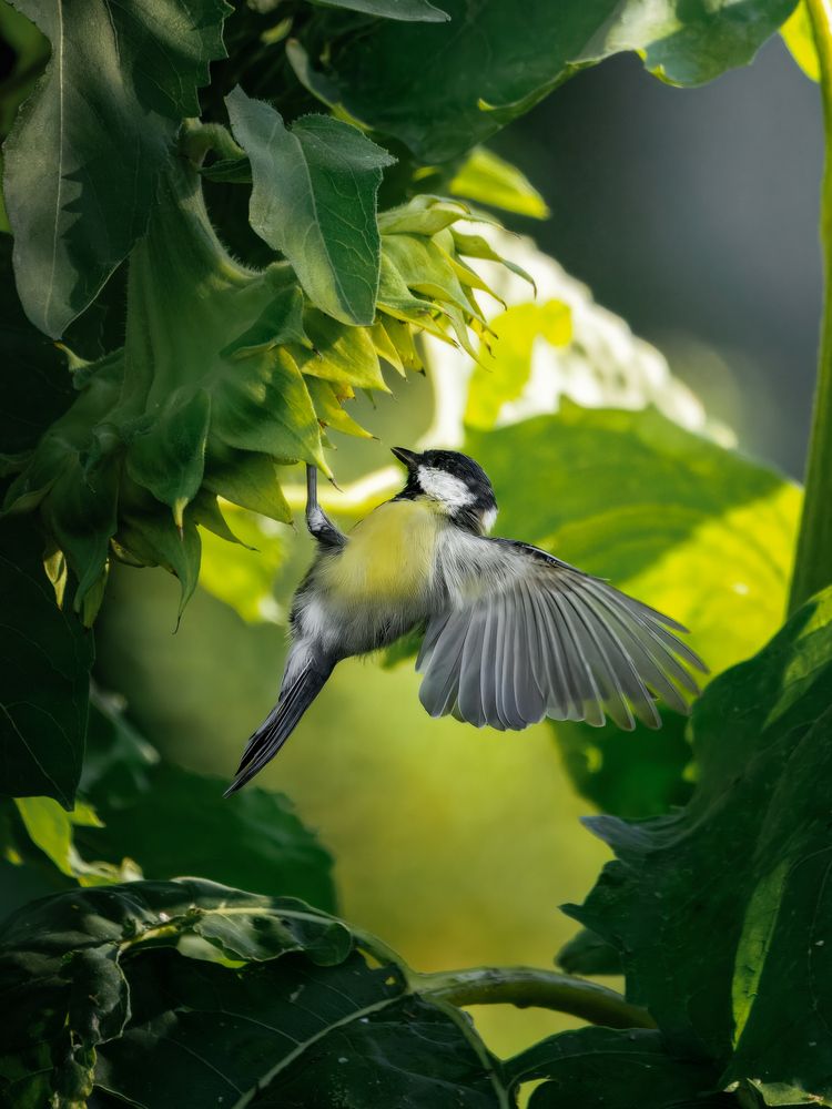 Photograph by Мозжухин Максим