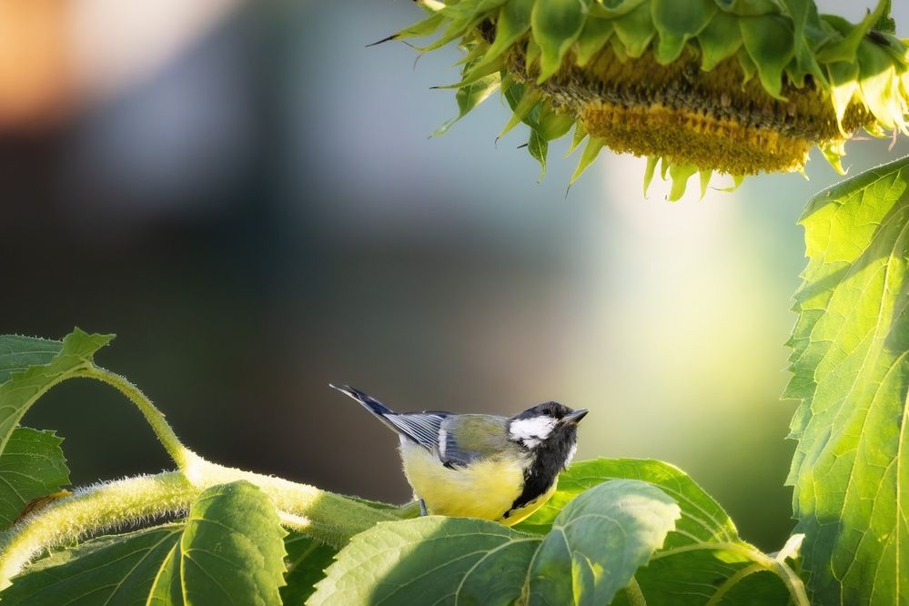 Photograph by Мозжухин Максим